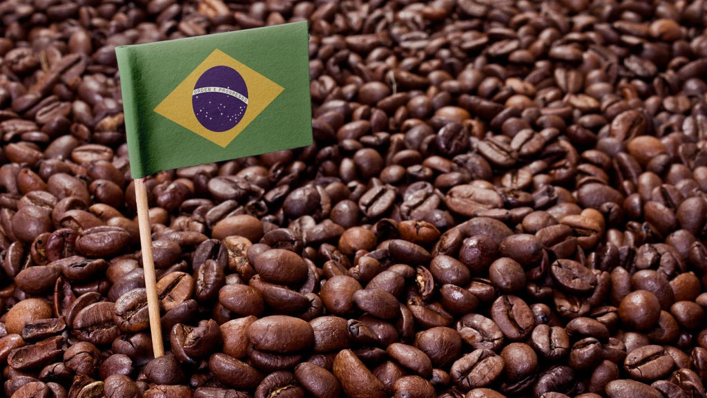 GIOIA Brown 90% Arabica bönor, 1kg