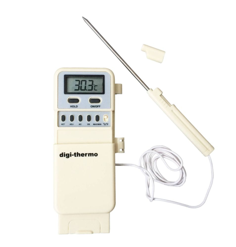 Termometer digital med sond WT-2