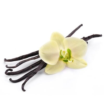 French vanilla 750ml syrup